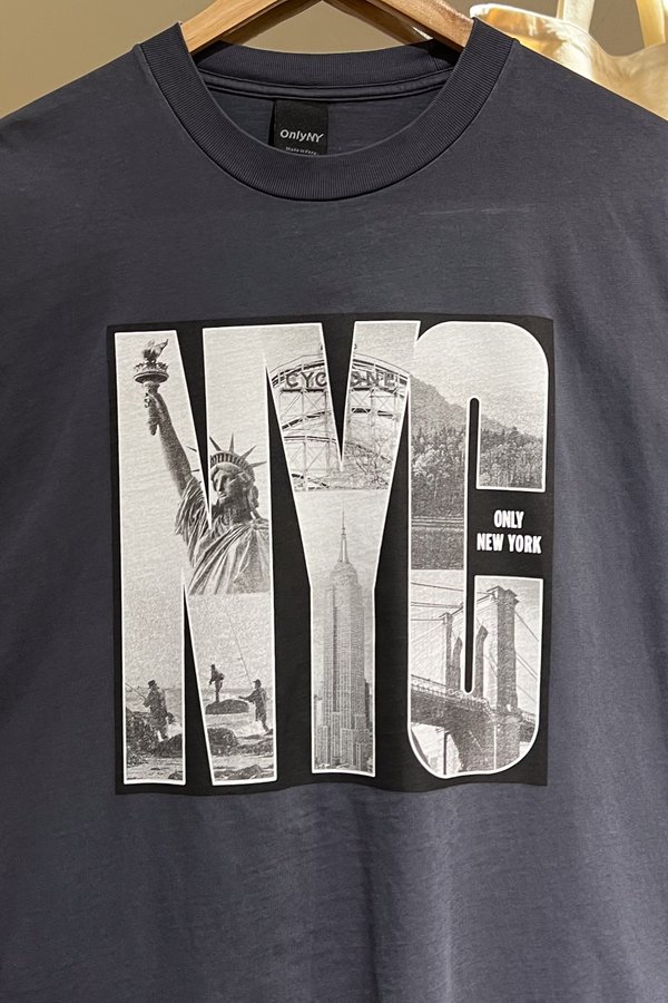 Only NY Landmark NYC T-Shirt