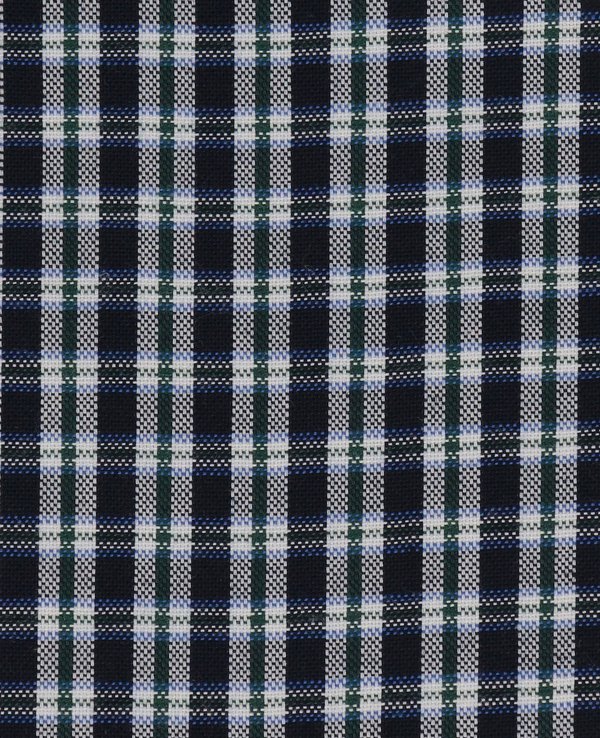 Danton Dot Button B.D. L/S Shirt
