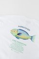Calm Outdoors Parrot Fish Tee 096 OS
