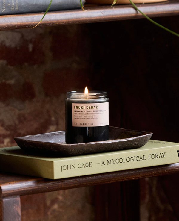 P.F. Candle Co. Alchemy Candle Enoki Cedar 7.2 oz Soy Candle