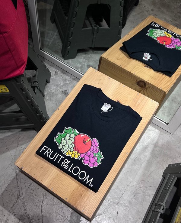 Fruit Of The Loom Logo Tee