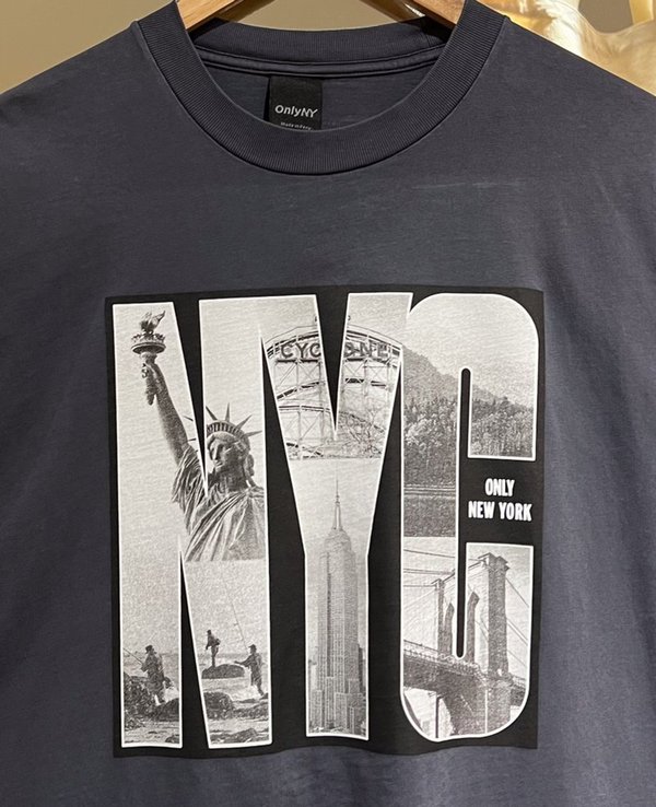 Only NY Landmark NYC T-Shirt