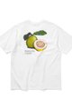 thisisneverthat Guava Tee