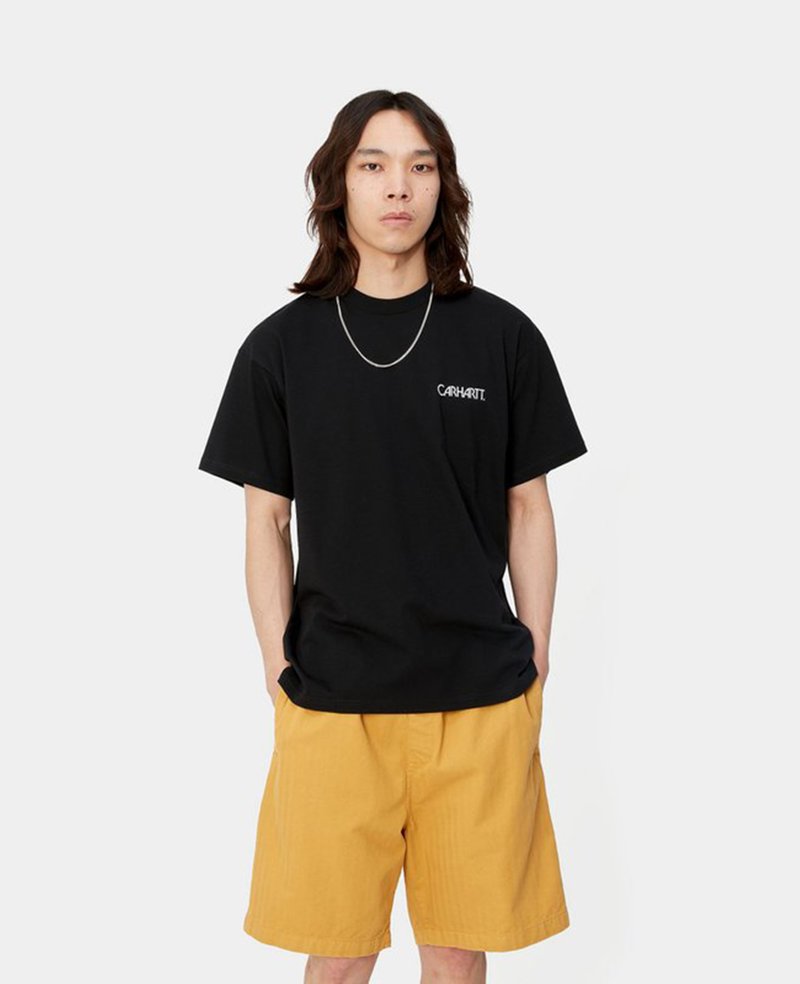 Carhartt WIP S/S Soil Tee