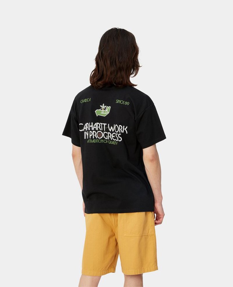 Carhartt WIP S/S Soil Tee