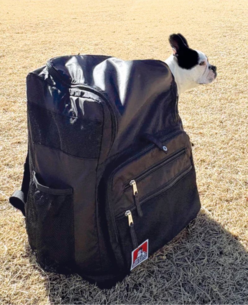 Ben Davis Japan Pet Carry Day Pack