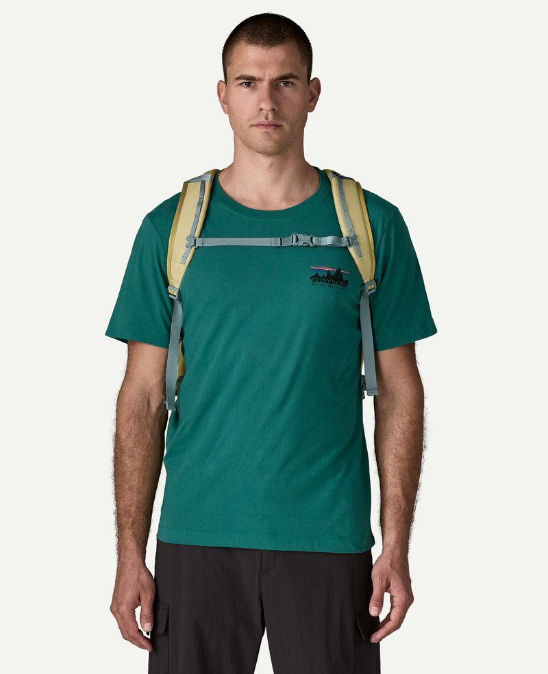 Patagonia Refugio Day Pack 30L