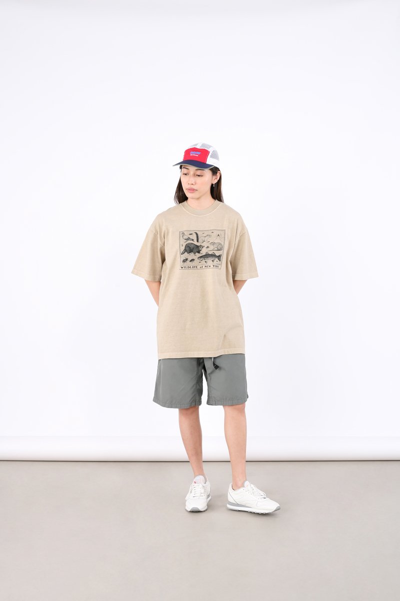 注目の Only NY Wildlife Division L/S T-Shirt Tシャツ/カットソー(七